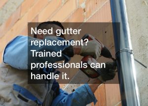 gutter-replacement-professionals